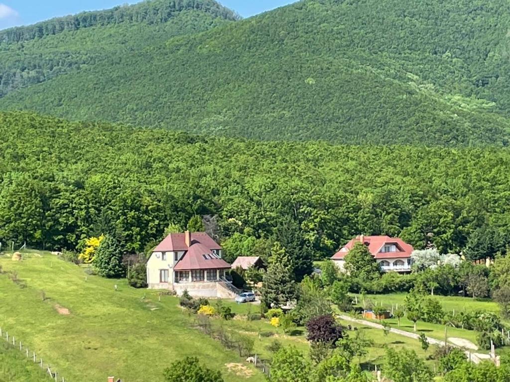 BükkzsércThe Mountain Cottage - Hegyi kuckó的山地房子