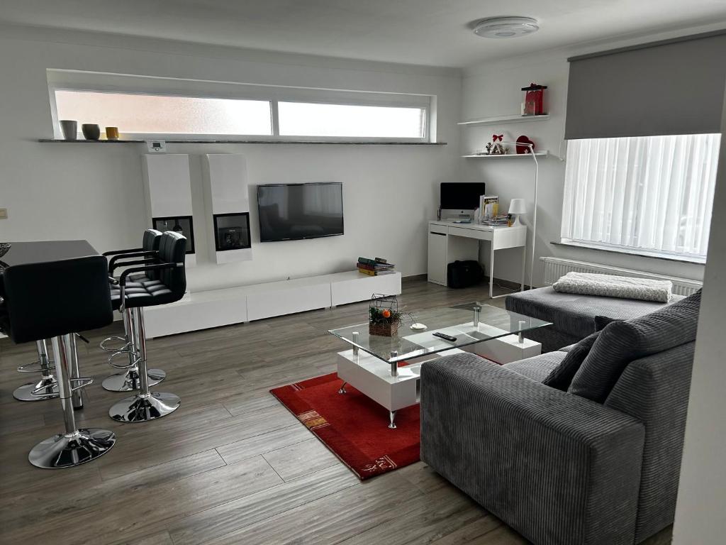 安特卫普Zwarte Arend AirBnB的带沙发和电视的客厅