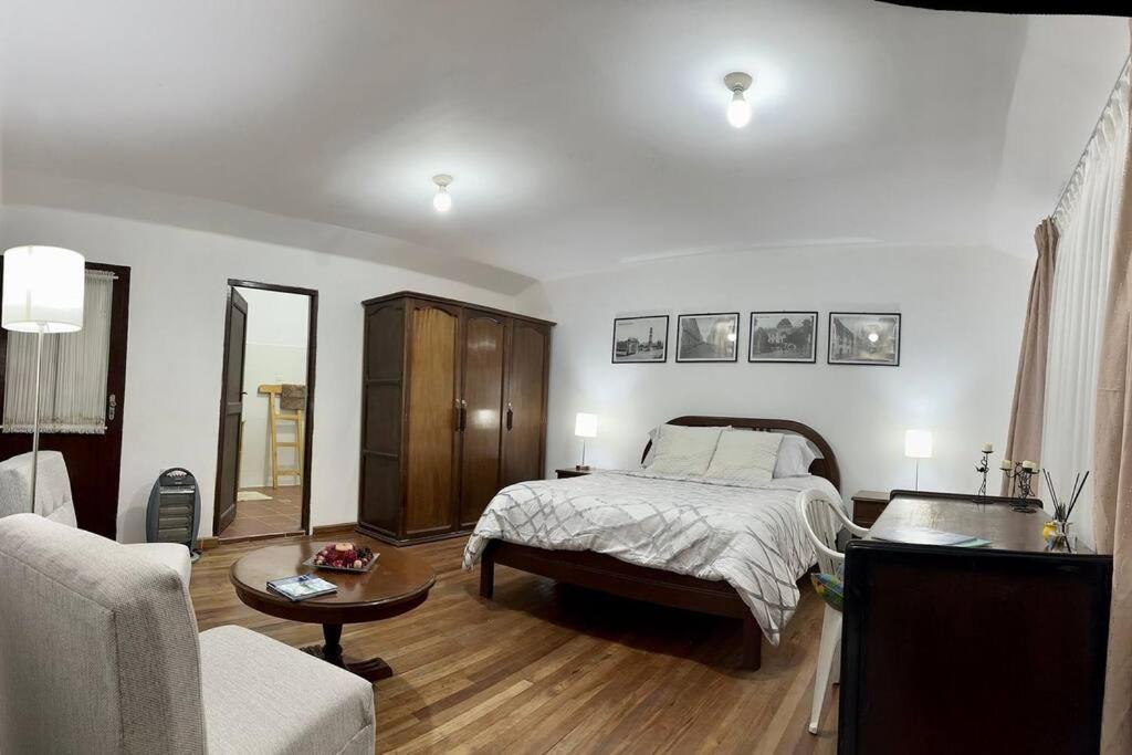 苏克雷Apartamento cómodo y céntrico的一间卧室设有一张床和一间客厅。