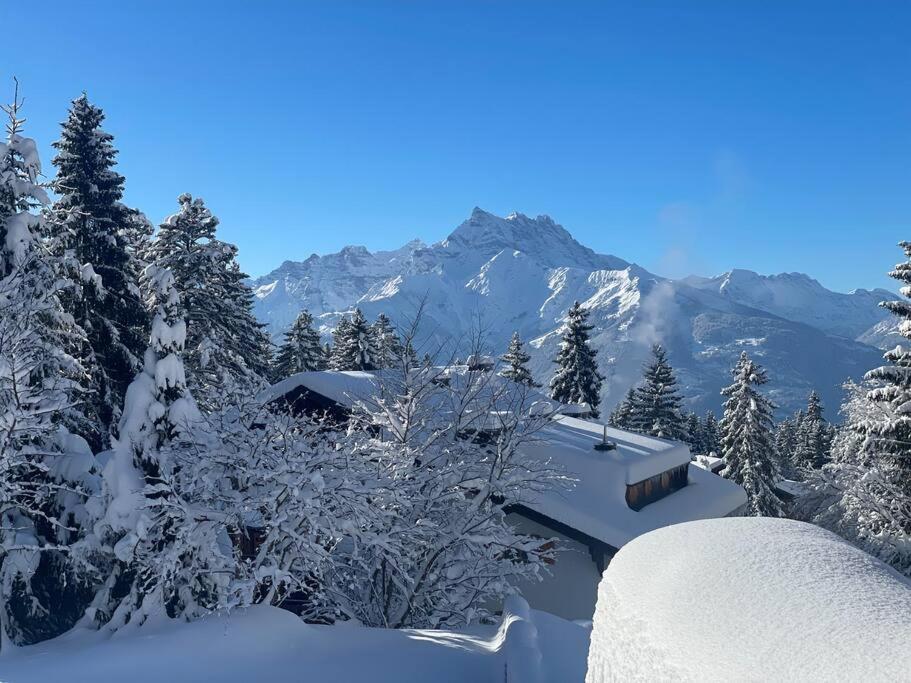 威拉尔-苏-罗伦Villars Alpine Heaven - Ski In的一座雪覆盖的房子,背景是一座山