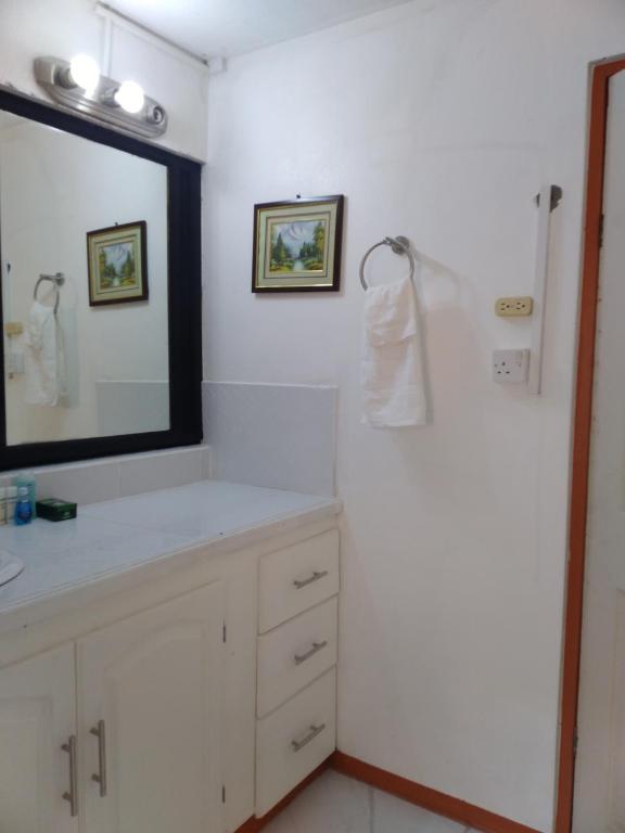 CarriacouAlexander's Apartment Carriacou的浴室设有白色水槽和镜子