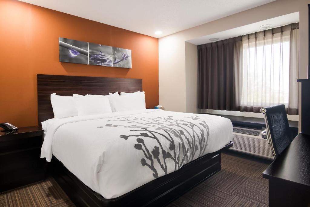 伊利Sleep Inn的酒店客房设有床和窗户。