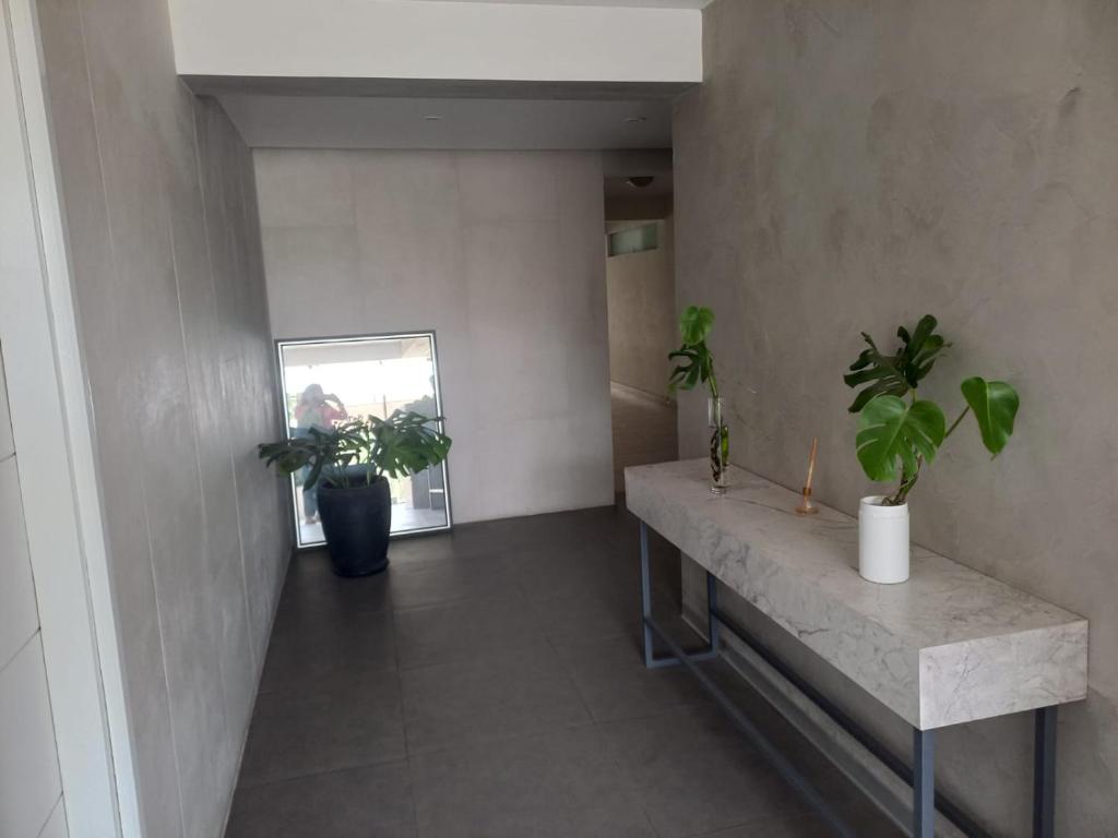 利马Departamento en Chacarilla, San Borja的楼里带桌子和盆栽的走廊