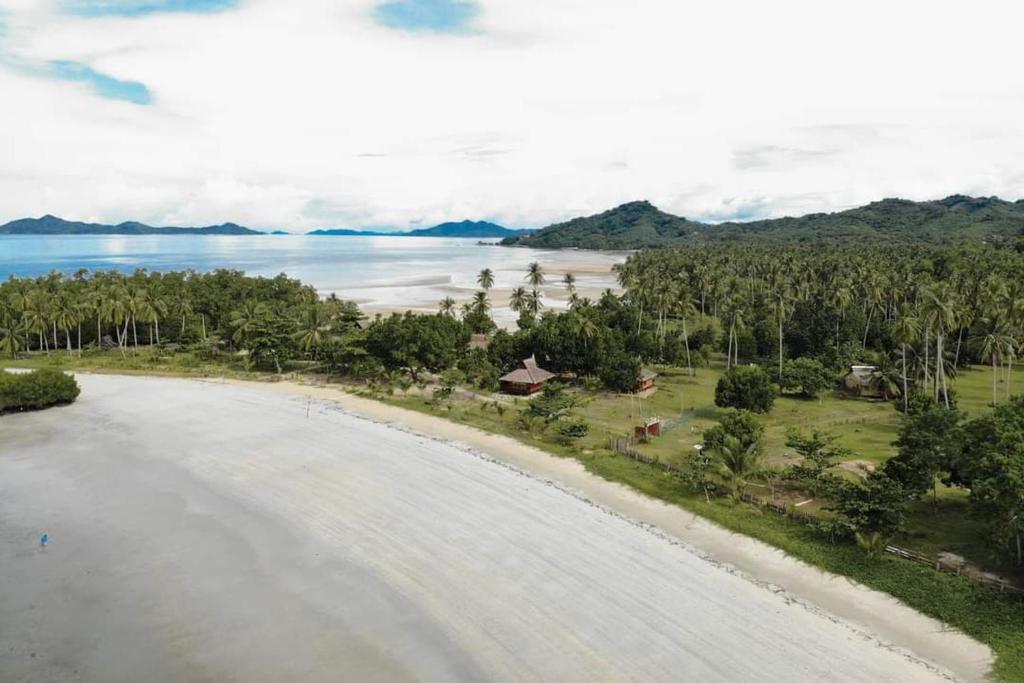 La Tranquilidad Beach Club的享有树木和水面海滩的空中景致