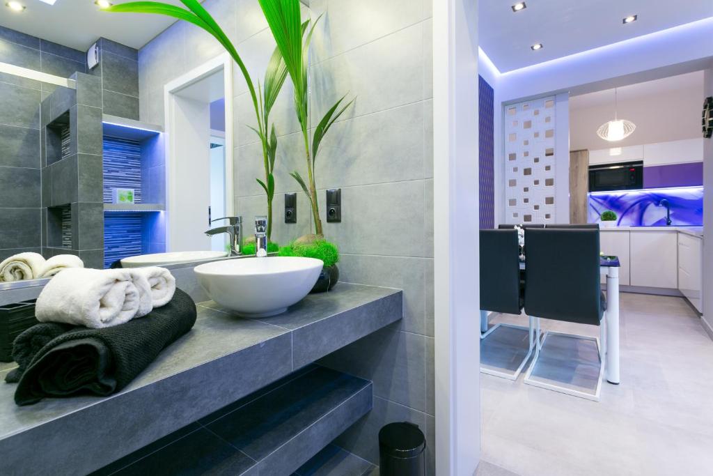 扎科帕内斯塔拉波拉纳VIP公寓的浴室配有盥洗盆和带毛巾的台面。
