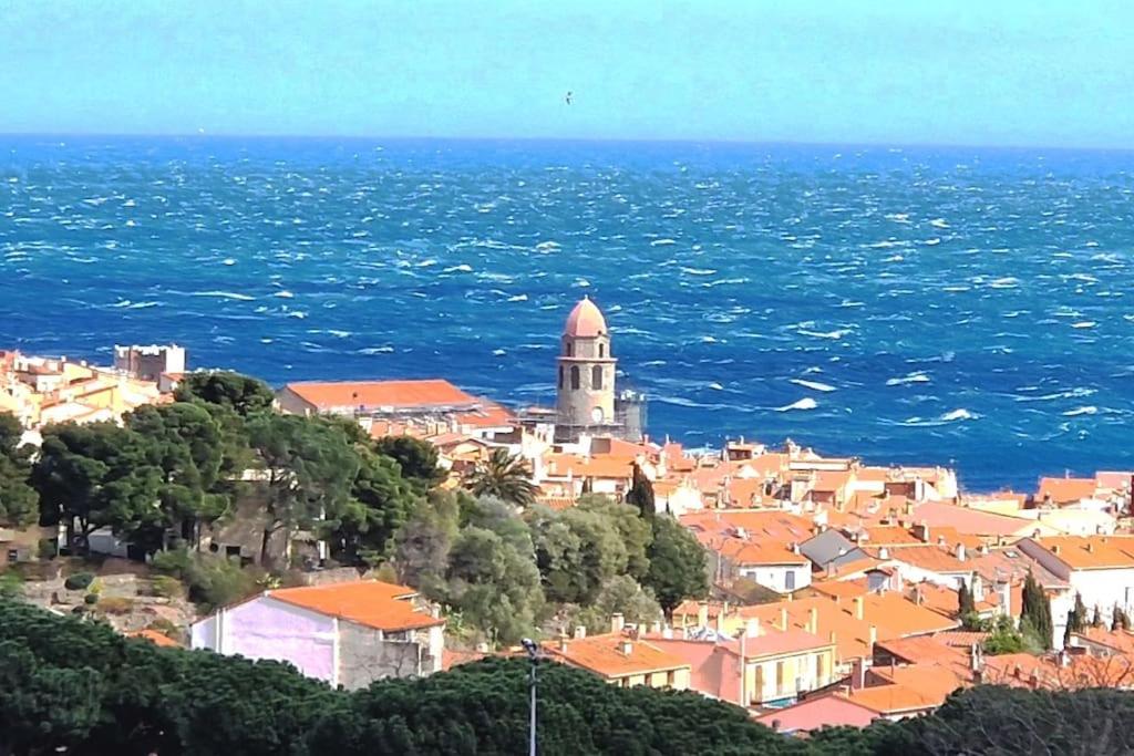 科利尤尔T2 au calme-vue mer et baie de Collioure-Garage的海边小山上的一个小镇