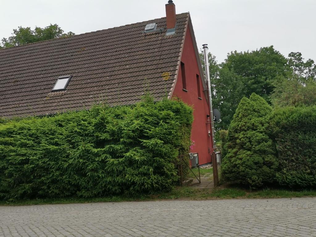 PutgartenFerienwohnung auf Rügen ganz oben的前面有大灌木丛的红色房子