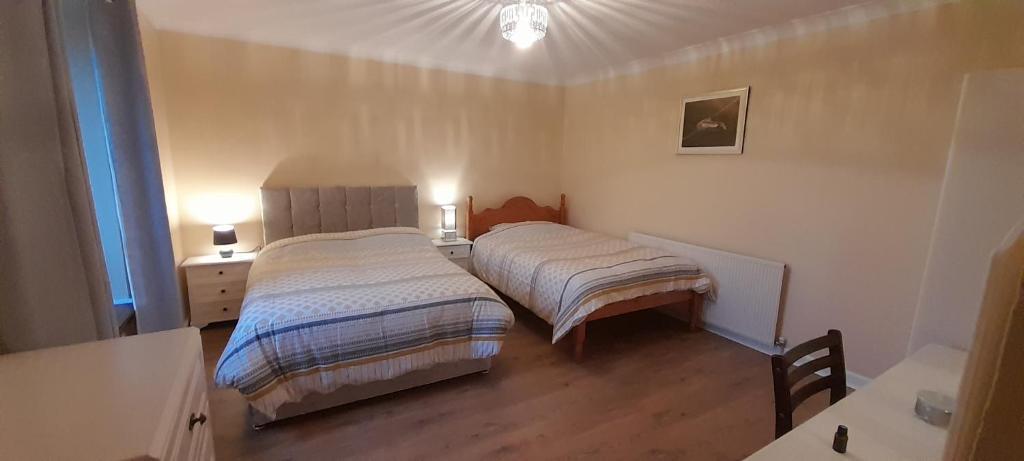 多尼戈尔Biddys cottage的一间卧室配有两张床和一张带两盏灯的桌子。