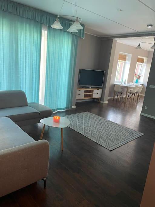 派尔努Cozy Sauna Apartment的带沙发、电视和桌子的客厅