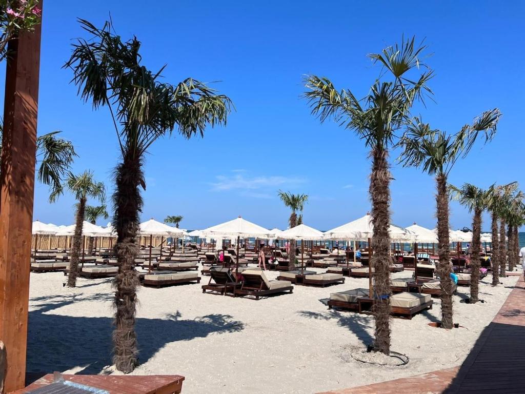 那沃达利Mamaia Beach Condos 2的海滩上设有躺椅、棕榈树和遮阳伞