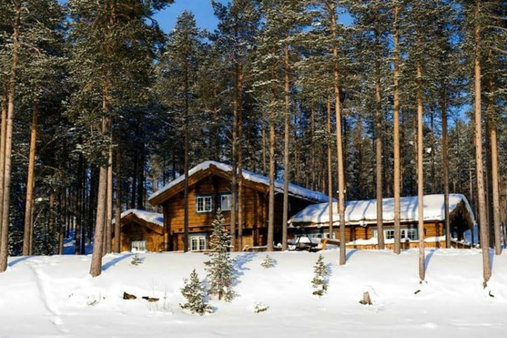 洛夫斯达伦Lyxigt timmerhus i fjällen, Lofsdalen, Hjortehytta的雪中树林里的小木屋
