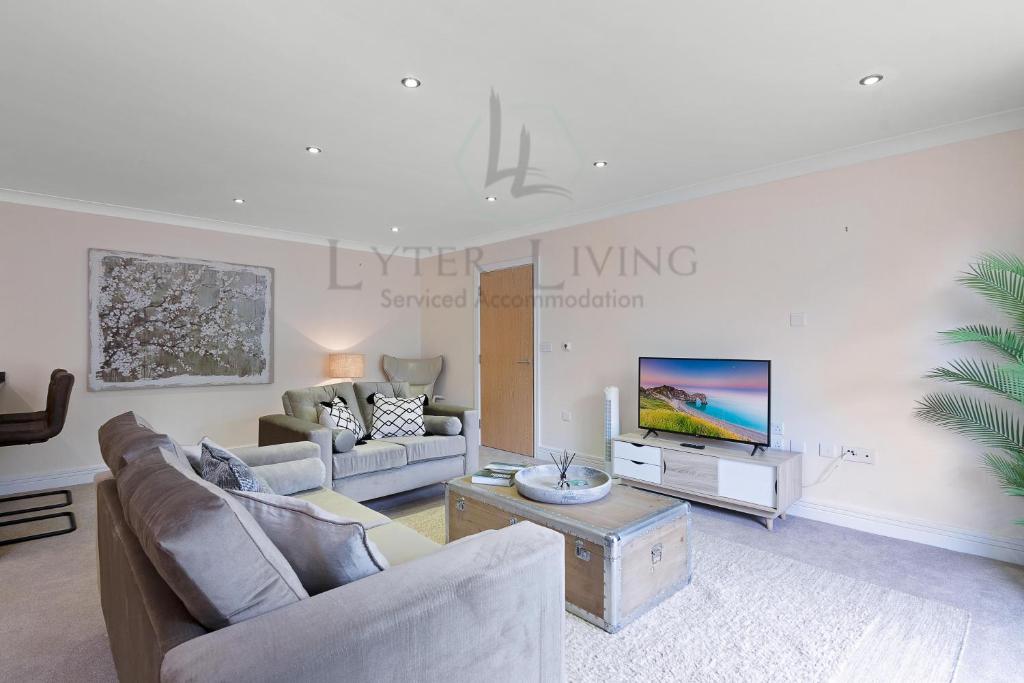 牛津Lyter Living-The Foundry-Jericho-Oxford-Parking Included的客厅配有两张沙发和一台电视机