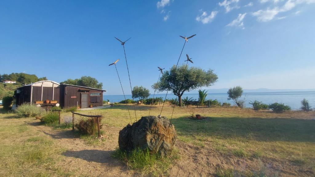 欧拉努波利斯Athos SEAgull wagon的一座有建筑和风车的田野