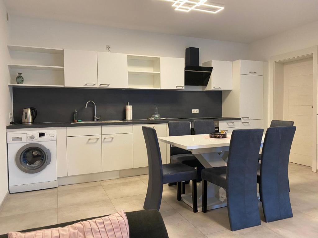 莱茵豪森Rhein Appartements的厨房配有桌椅和洗衣机。