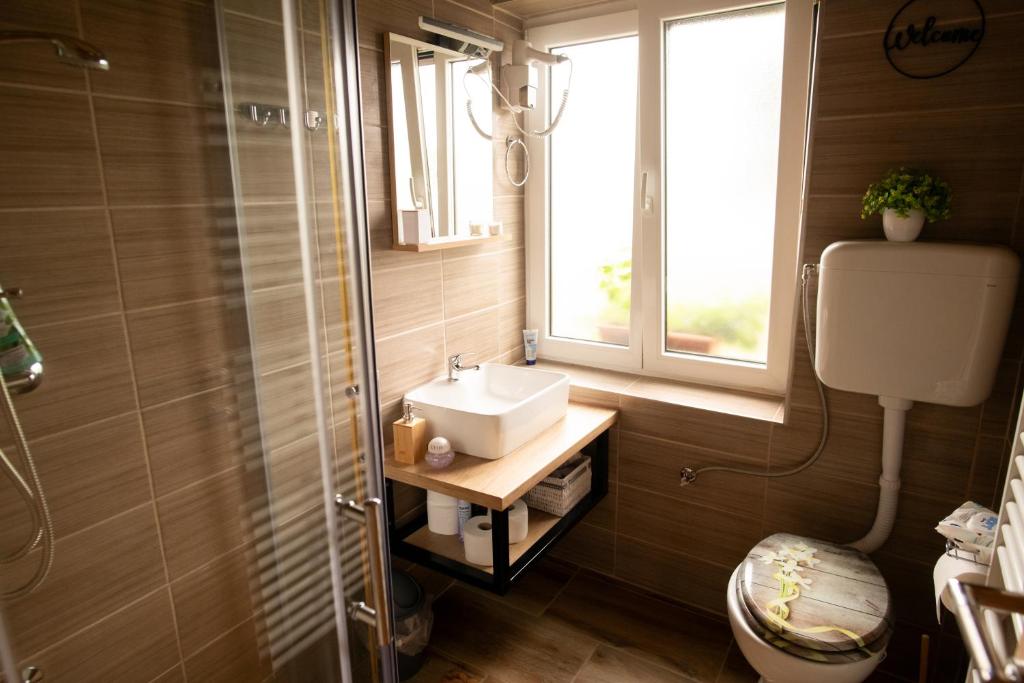 PleternicaKONAK的一间带水槽和窗户的浴室