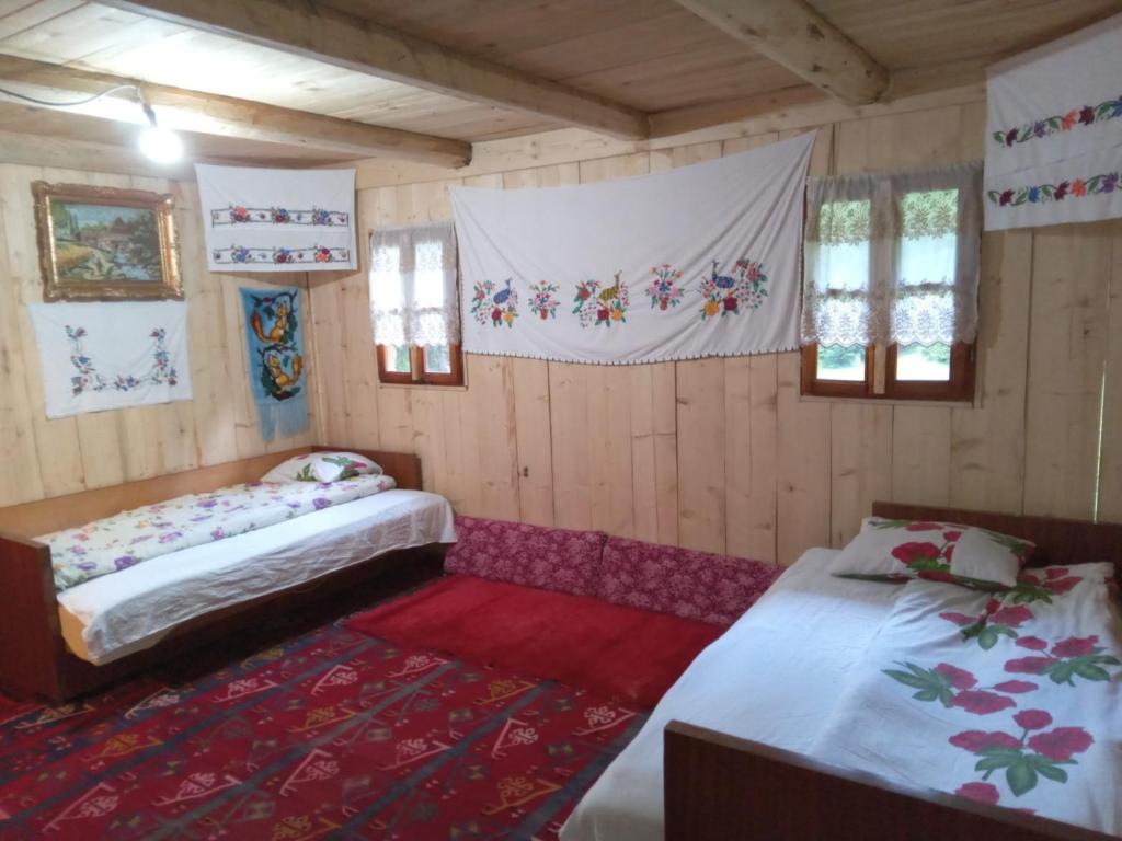 普拉夫Isov Ranch的一间设有两张床和红地毯的客房