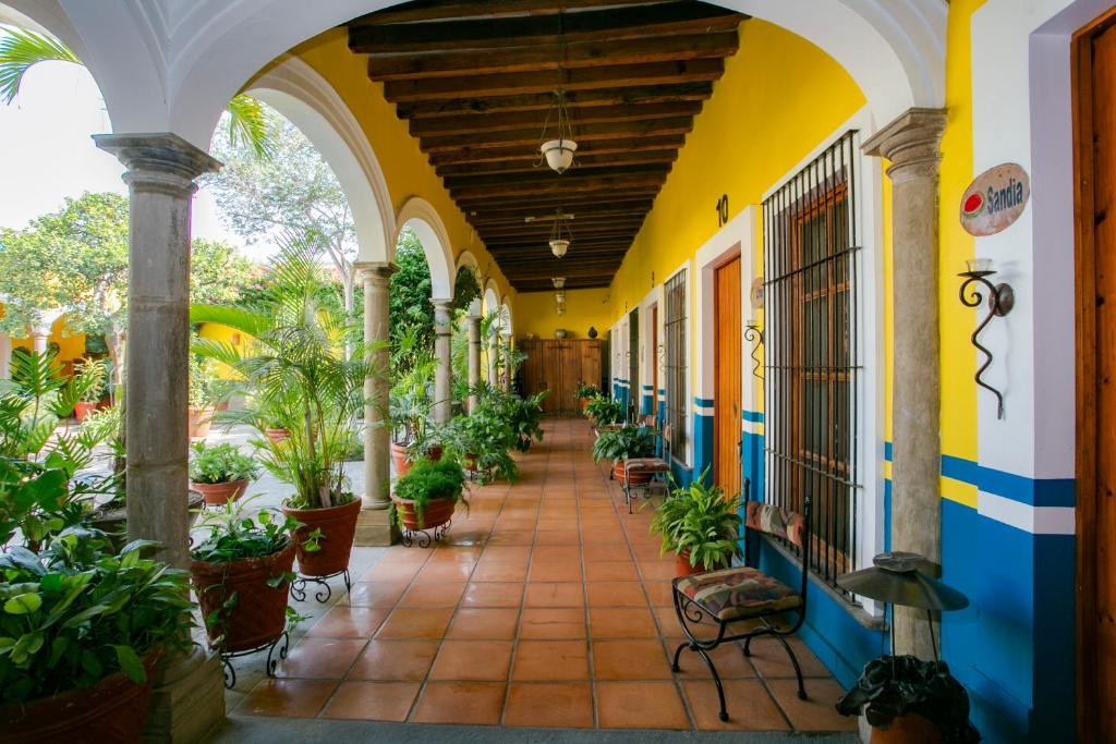 Sayula拉卡萨德洛斯天井及温泉酒店的一座种植盆栽植物的建筑的拱廊