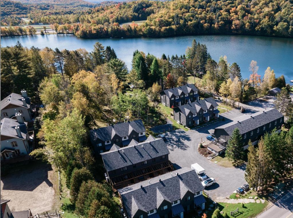 蒙特朗布朗Suites du Lac Moore的享有湖景别墅的空中景致