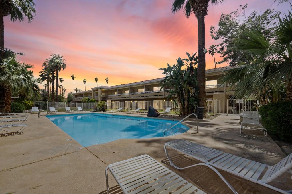 棕榈泉Sol Springs Inn的一个带躺椅和棕榈树的度假游泳池