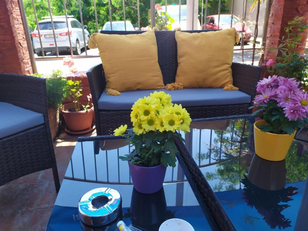 内塞伯尔Adri Guest House的阳台上的沙发,桌子上有鲜花