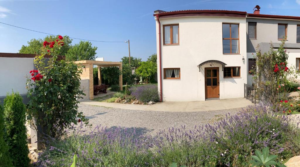 IrigFruška Gora Guesthouse的前面有花园的房子