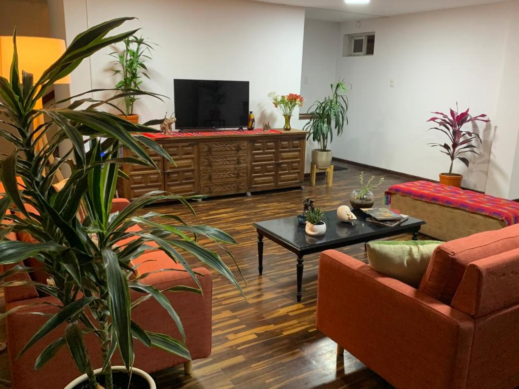 利马Harmony Inn Miraflores的客厅配有盆栽植物和平面电视
