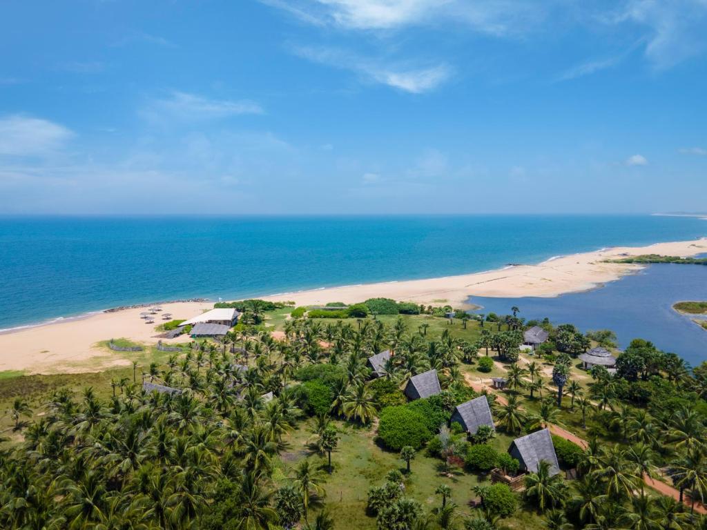 卡尔皮蒂耶Elements Beach & Nature Resort的棕榈树海滩的空中景致