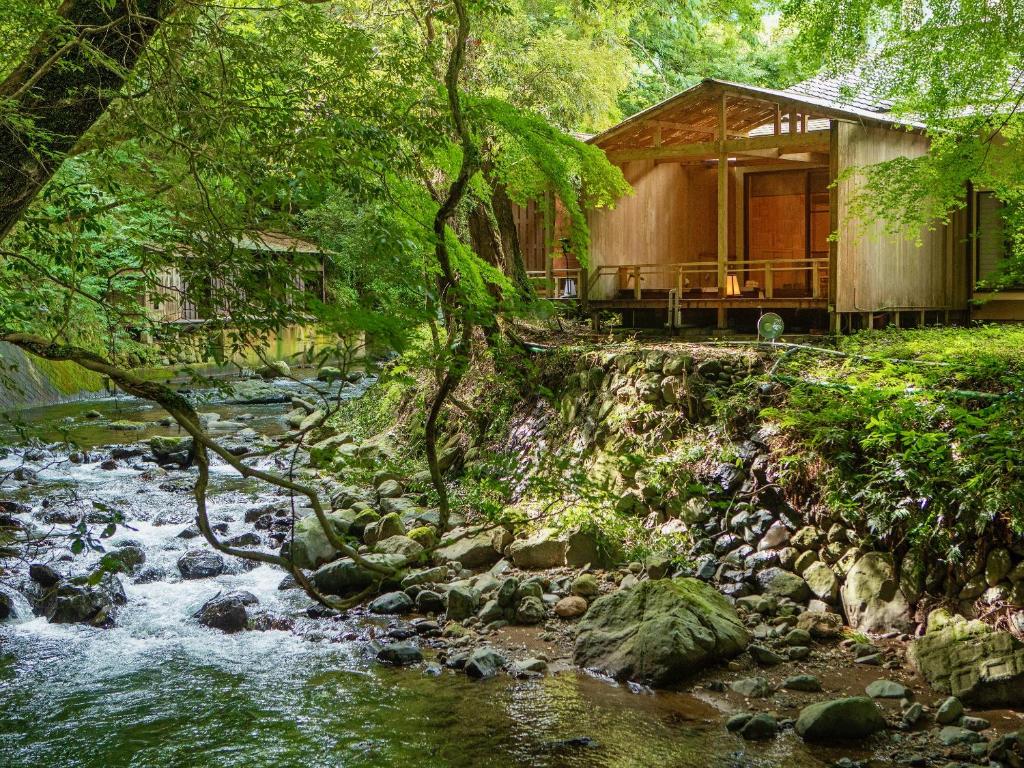 河津町Mizumari的河边树林中的小屋