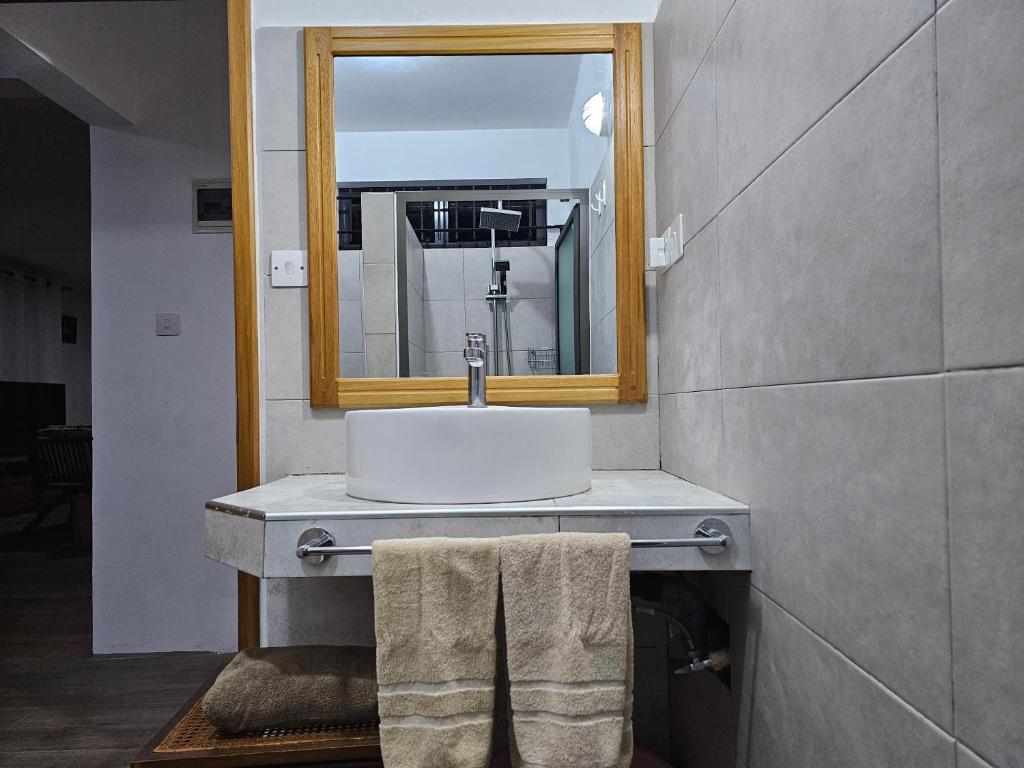 拉戈莱特Villa Trochetia的一间带水槽和镜子的浴室