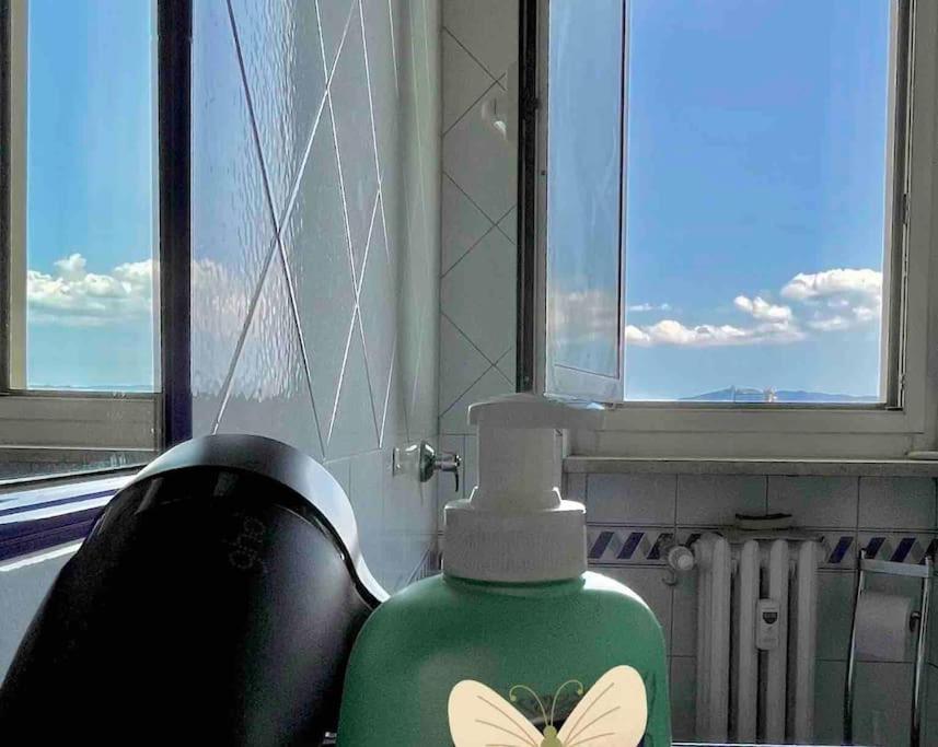 都灵Panoramic 7的窗户旁的绿瓶,蝴蝶