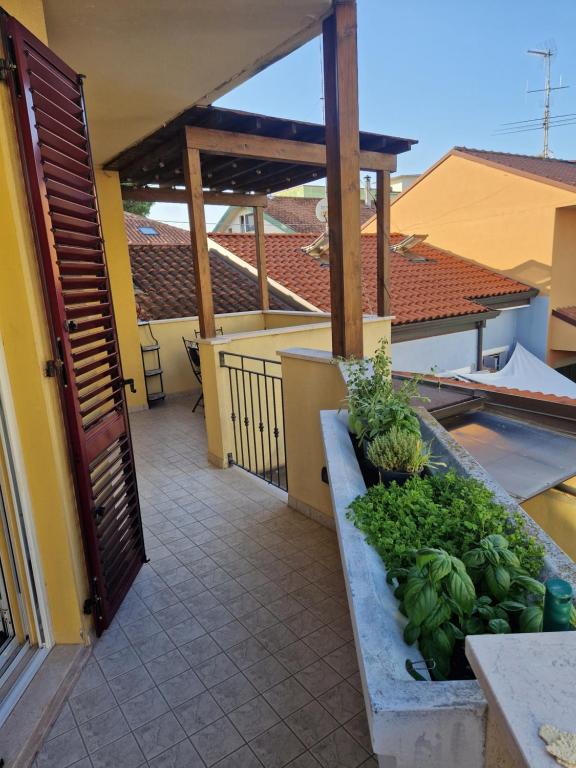 里米尼Appartamento Rosy的通往阳台的开放式门,阳台种植蔬菜