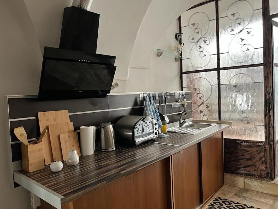 班斯卡-比斯特里察City Center Apartment的带水槽的柜台的厨房和电视