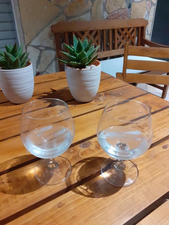 SkálaLuxury Beach Villa的木桌上两杯酒杯,放有盆栽植物