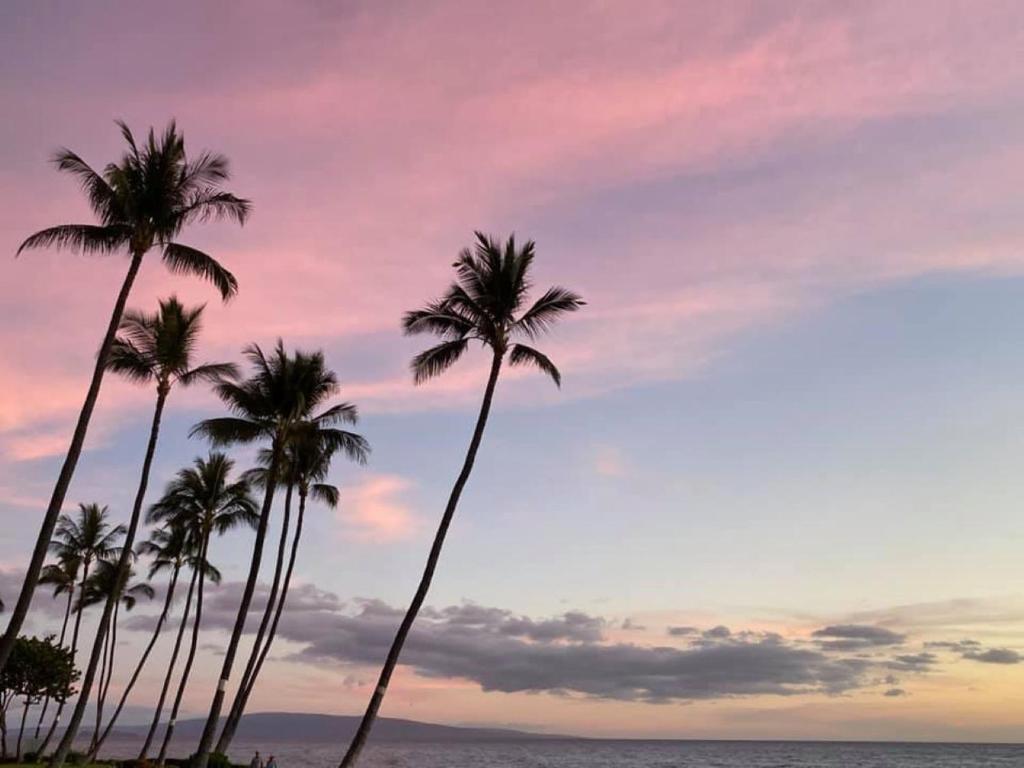 维雷亚Live da HI life--great beach and great views!的日落时分在海滩上种植的棕榈树