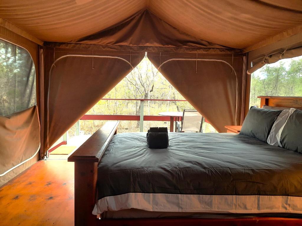 BiboohraWild Nature Lodge, Mareeba Wetlands的帐篷内一间卧室,配有一张床