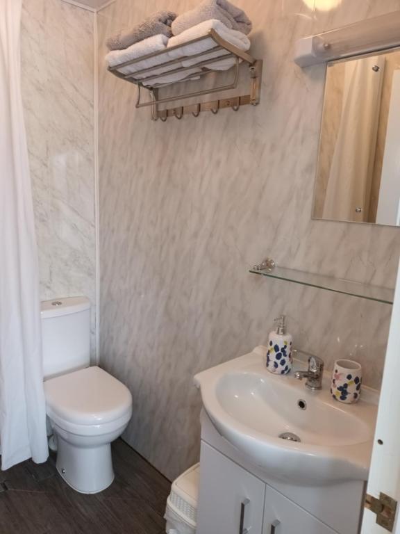 多尼戈尔Kates Place Studio 1的浴室配有白色卫生间和盥洗盆。
