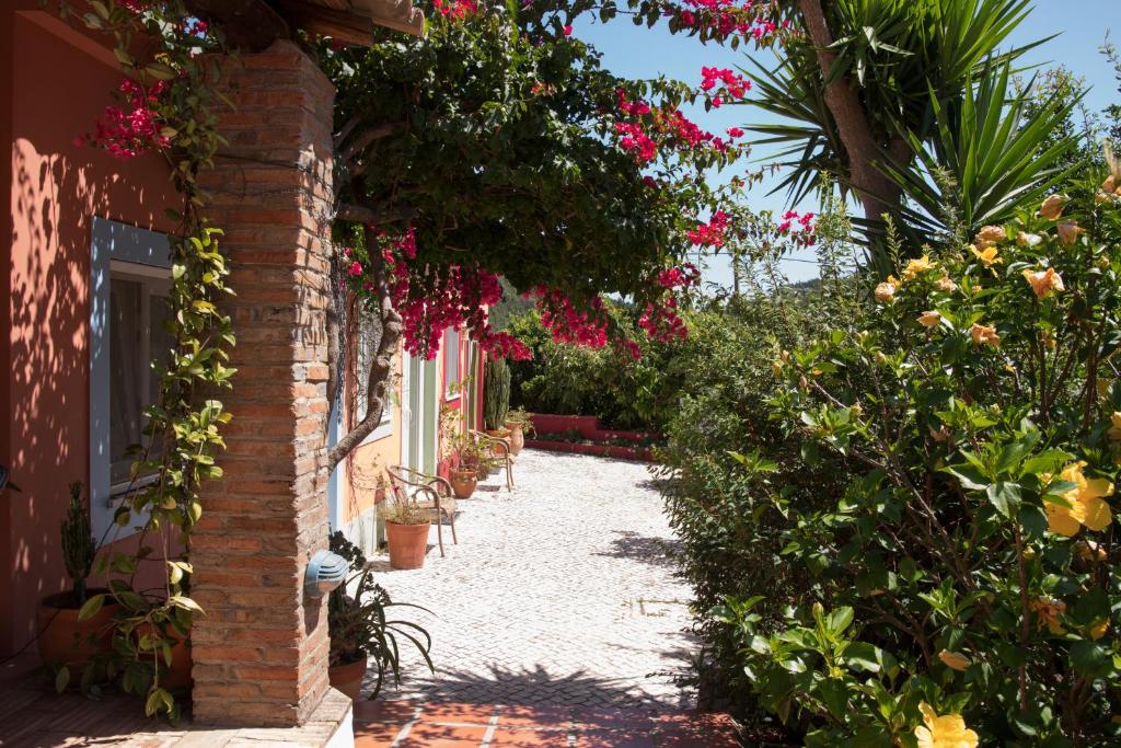 蒙希克Casa Spa d'Alma的一条通往鲜花和植物的房子的道路