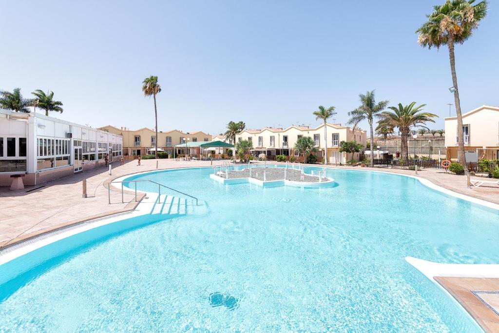 马斯帕洛马斯Villetta Green oasis club的棕榈树度假村的大型游泳池