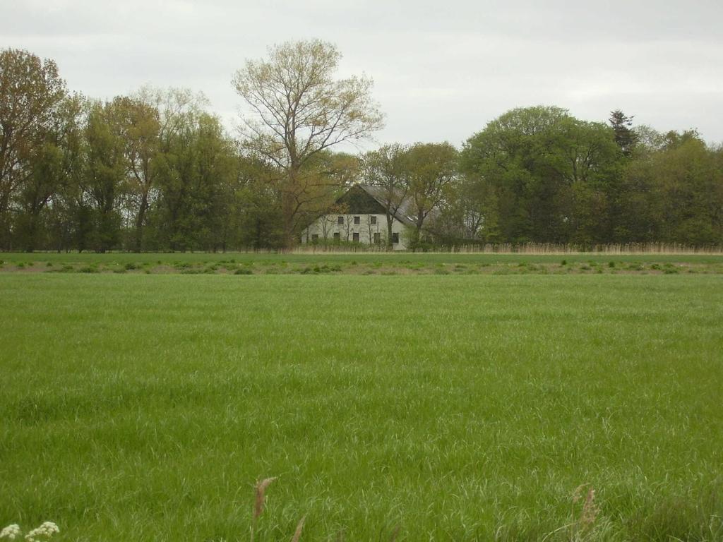 多纳莫塞尔Ferienwohnung in Dornumersiel 20-070的一片绿草丛,后面有白色的房子