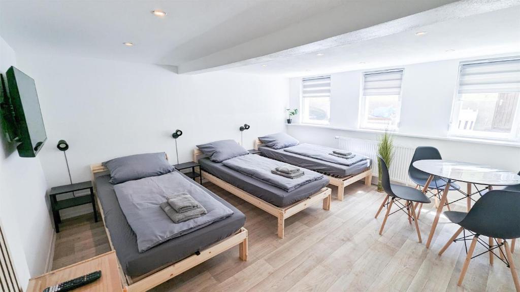 路德维希堡ALFA Ludwigsburg City Apartment Zimmer 5 Personen Küche Netflix INET WM的客厅配有两张床和一张桌子