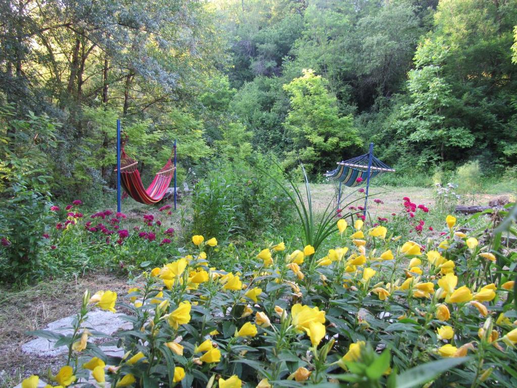 安布罗劳里Lola的花园,种着一束鲜花,设有吊床