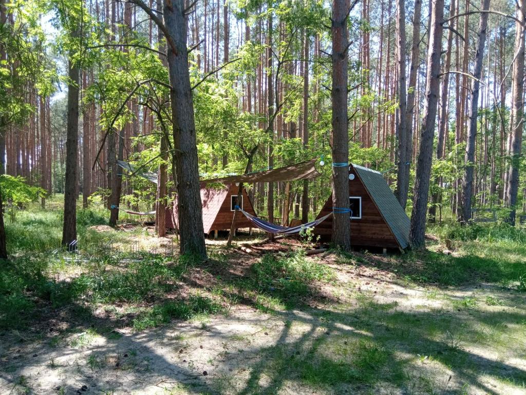 科特布斯Abenteuercamp Schaeferhof Hütten oder Stellplatz für kleinen Camper oder Zelt的小屋,设有吊床