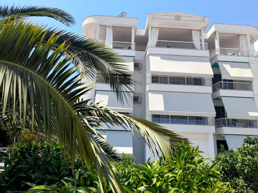 萨兰达Vila Marjana的公寓大楼前方有棕榈树