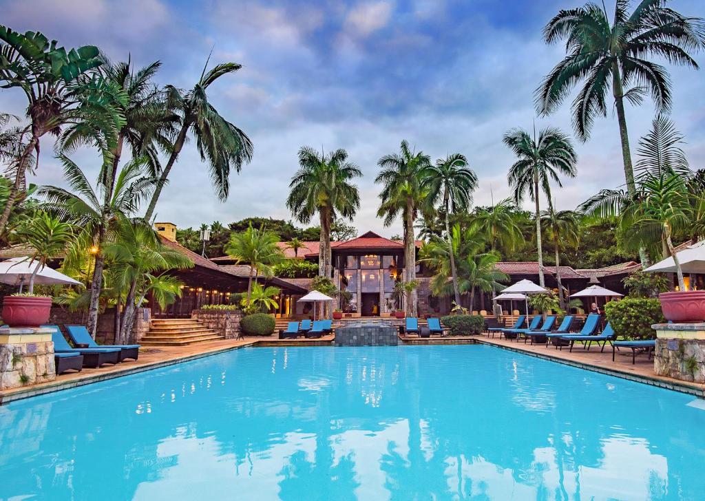 巴利托Zimbali Lodge by Dream Resorts的度假村的游泳池设有蓝色椅子和棕榈树
