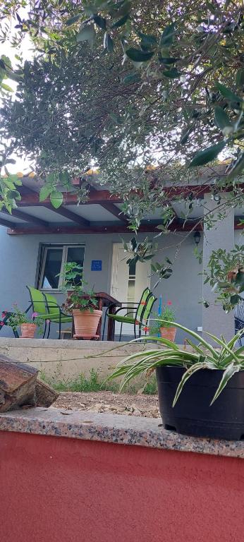 拉布Studio Apartman Tariba的一座带椅子的房屋和一座种植了植物的门廊