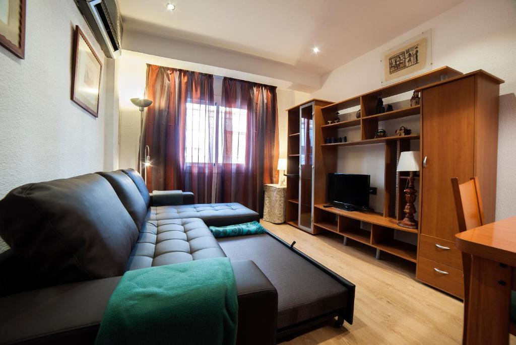 格拉纳达Apartamento Granados的带沙发和电视的客厅