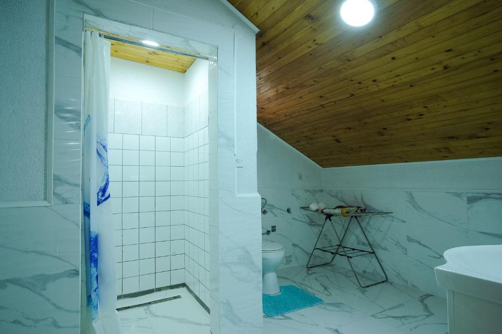 维索科Riverside Apartments的带淋浴和卫生间的浴室