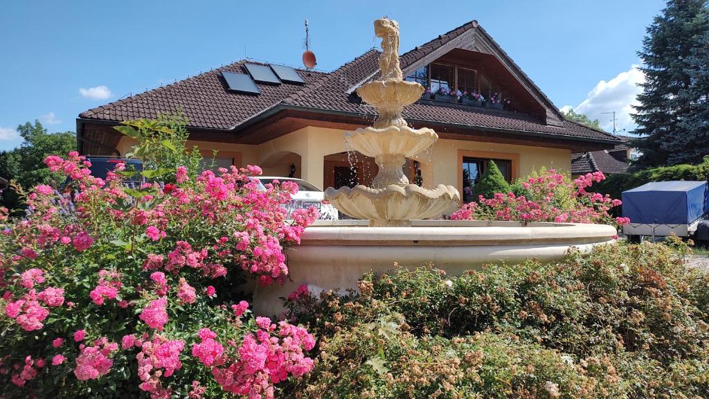 捷克斯卡利采乌比托瓦尼卡门旅馆的一座花粉房子前面的喷泉