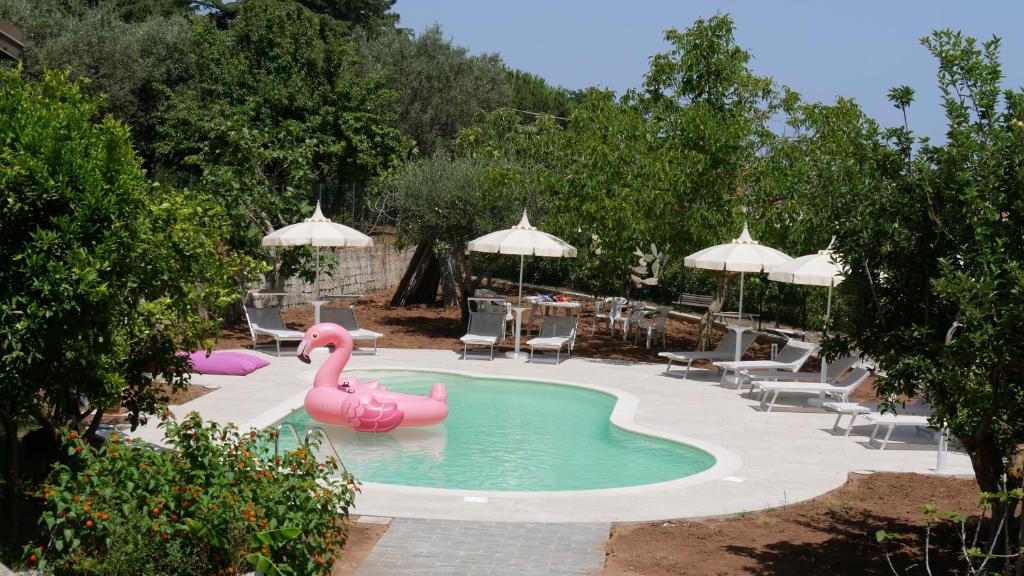 GasponiB & B Korello的水中一个粉红色天鹅的游泳池