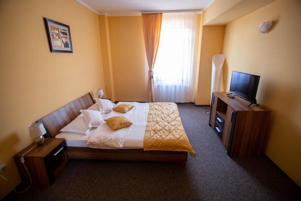 蒂米什瓦拉亚历山德拉酒店的酒店客房,配有床和电视